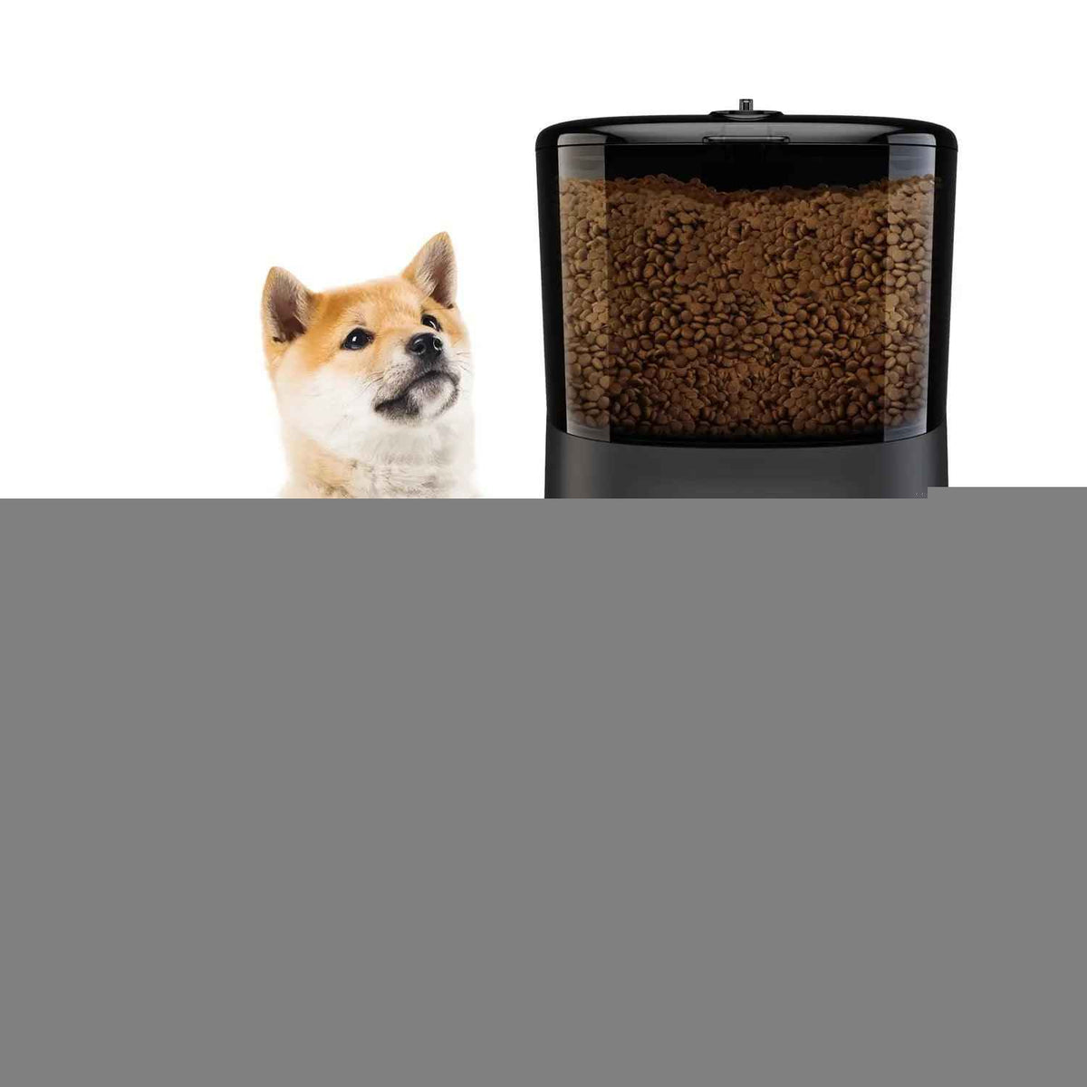 Automatic Cat Feeder WiFi Enable Smart Pet Dog Food Dispenser