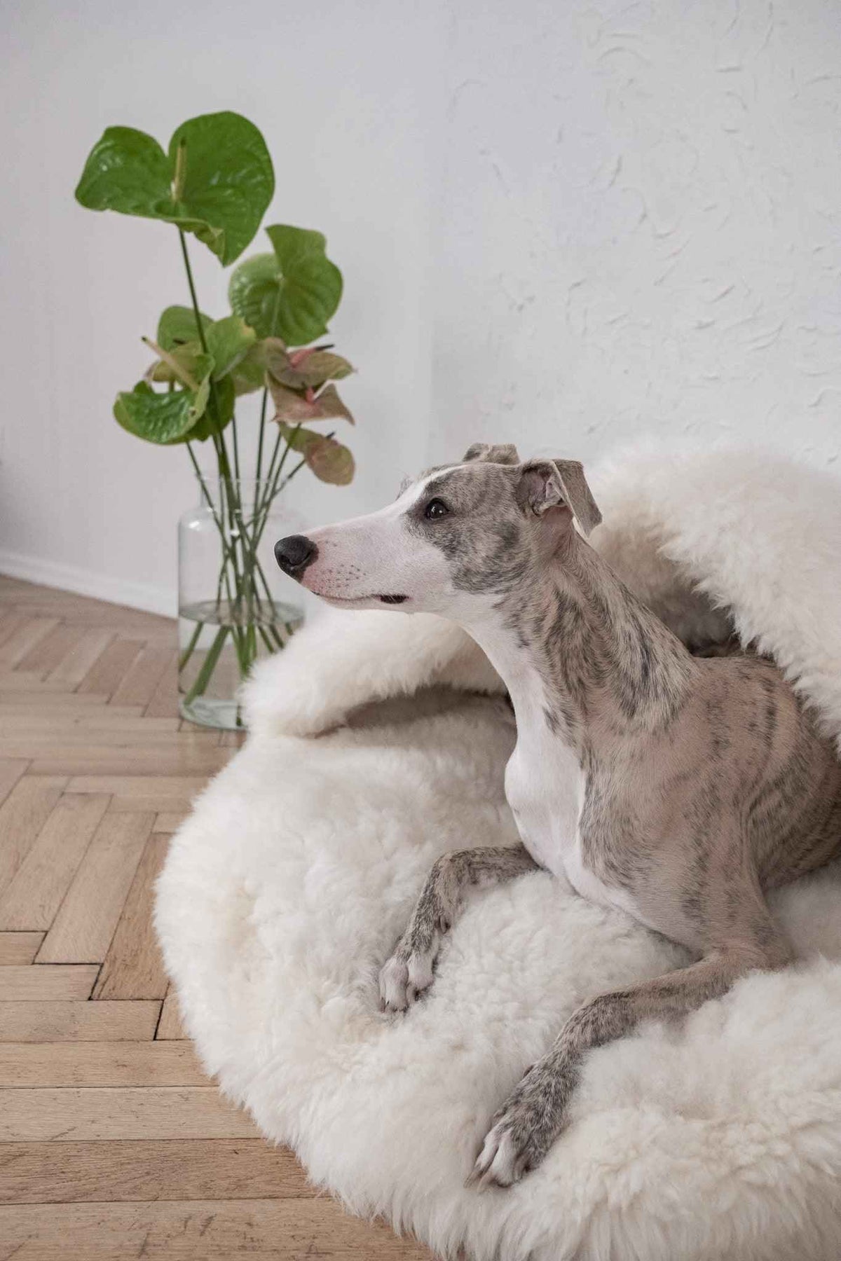 Natural Sheepskin Pet Cave - White