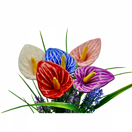 Calla flower
