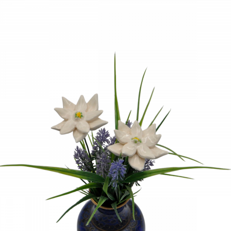 Lion's foot flower