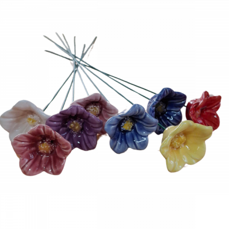Forget-Me-Not flower