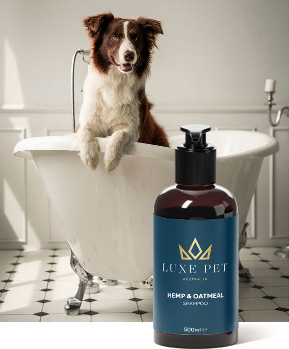 Luxe Pet Australia - Hemp & Oatmeal Shampoo 500ml-2