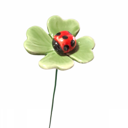 Lucky clover with ladybug