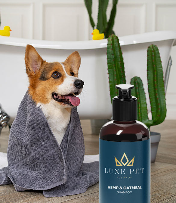 Luxe Pet Australia - Hemp & Oatmeal Shampoo 500ml-1